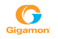 gigamon